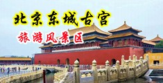 巨乳美女被肏的嗷嗷叫视频中国北京-东城古宫旅游风景区